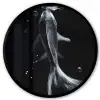Koi - Vissen - Water - Zwart Fotolijst rond zonder passe partout klein -3d