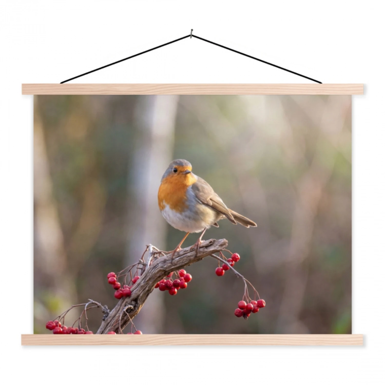 Roodborst - Tak - Bessen - Natuur textielposter latten blank klein -3d