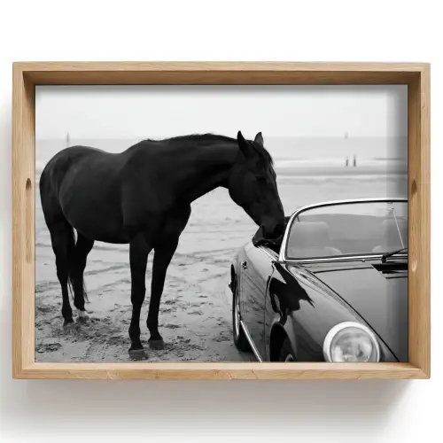Paard - Auto - Zwart - Wit Dienblad Rechthoek middel -z3d_shopping