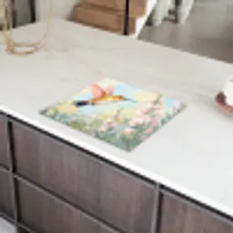 Kolibrie - Illustratie - Kleurrijk Inductie beschermer vinyl 3mm middel -sfeer8
