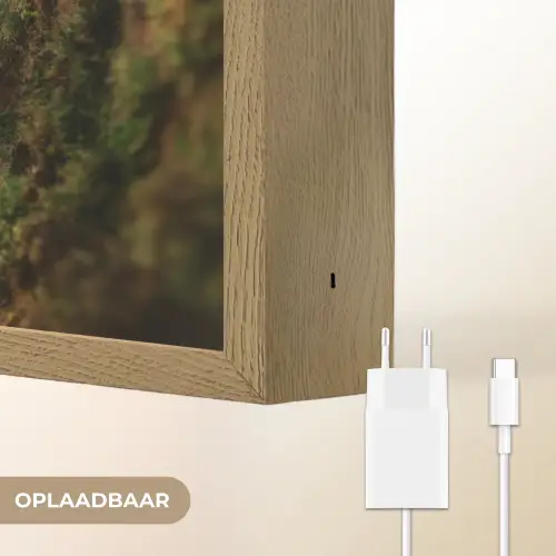 Aap - Boomstronk - Bruin Light Box met batterij (Wandlamp) middel -USP_websiteoplaadbaarNL
