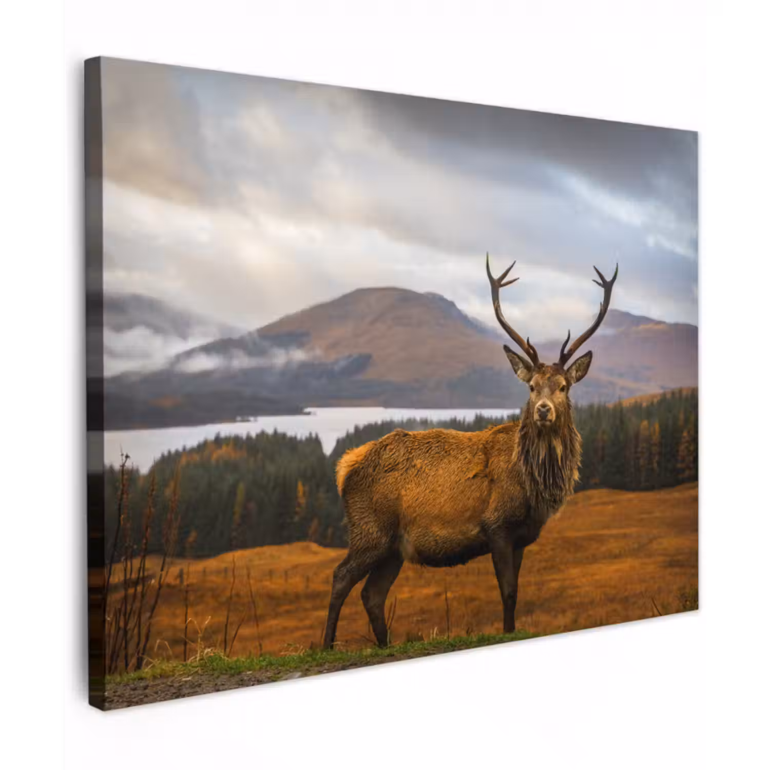 Leinwandbild - Hirsche - Berge - Wasser - Landschaft - Tiere - Bäume