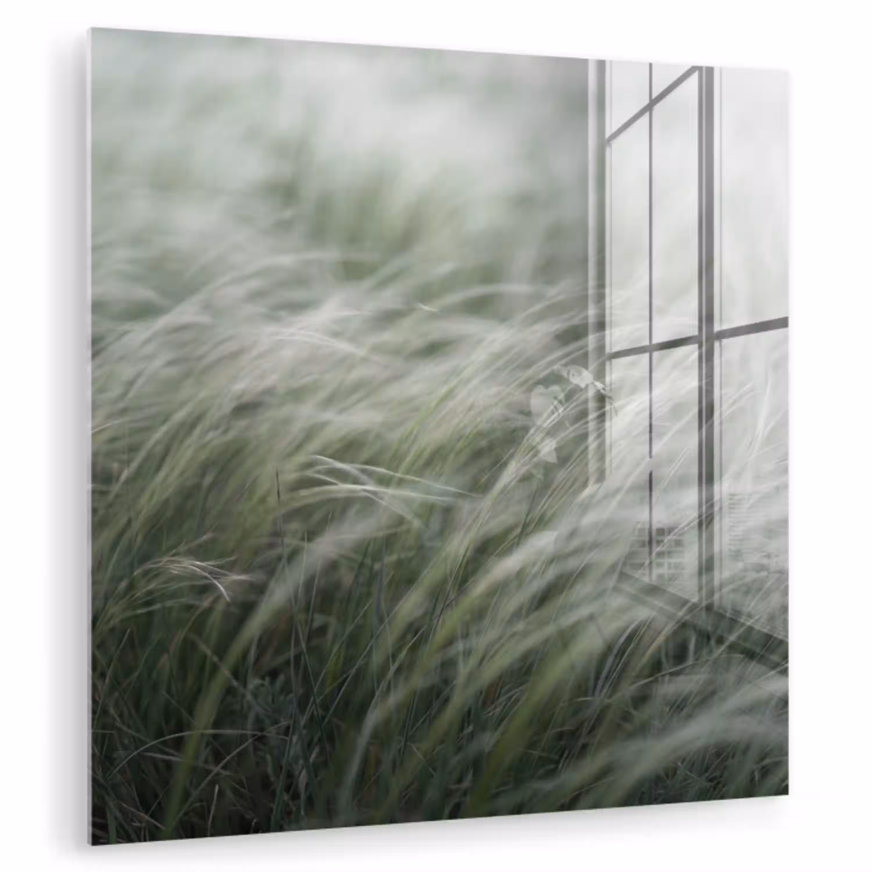 Gras - Wazig - Natuur - Groen - Zacht plexiglas 5mm klein -zzzproduct_nieuw