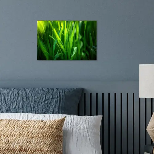 Grassprieten - Lichtinval - Groen poster papier klein -sfeer2