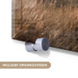 Landschap - Kust - Duinen plexiglas 5mm klein -zzsysteem_NL