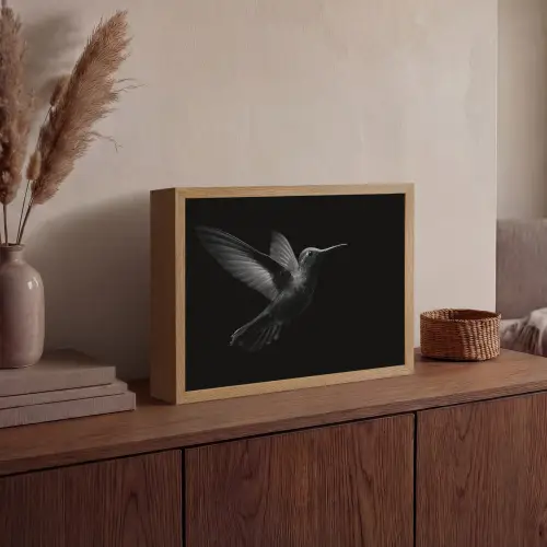 Kolibrie - Zwart - Dieren Light Box met batterij (Wandlamp) middel -sfeer2