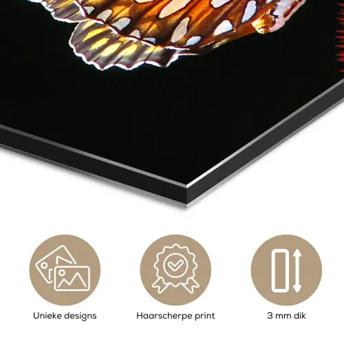 Vlinder - Bloemen - Insect - Portret - Zwart - Oranje aluminium wit klein -closeup_NL