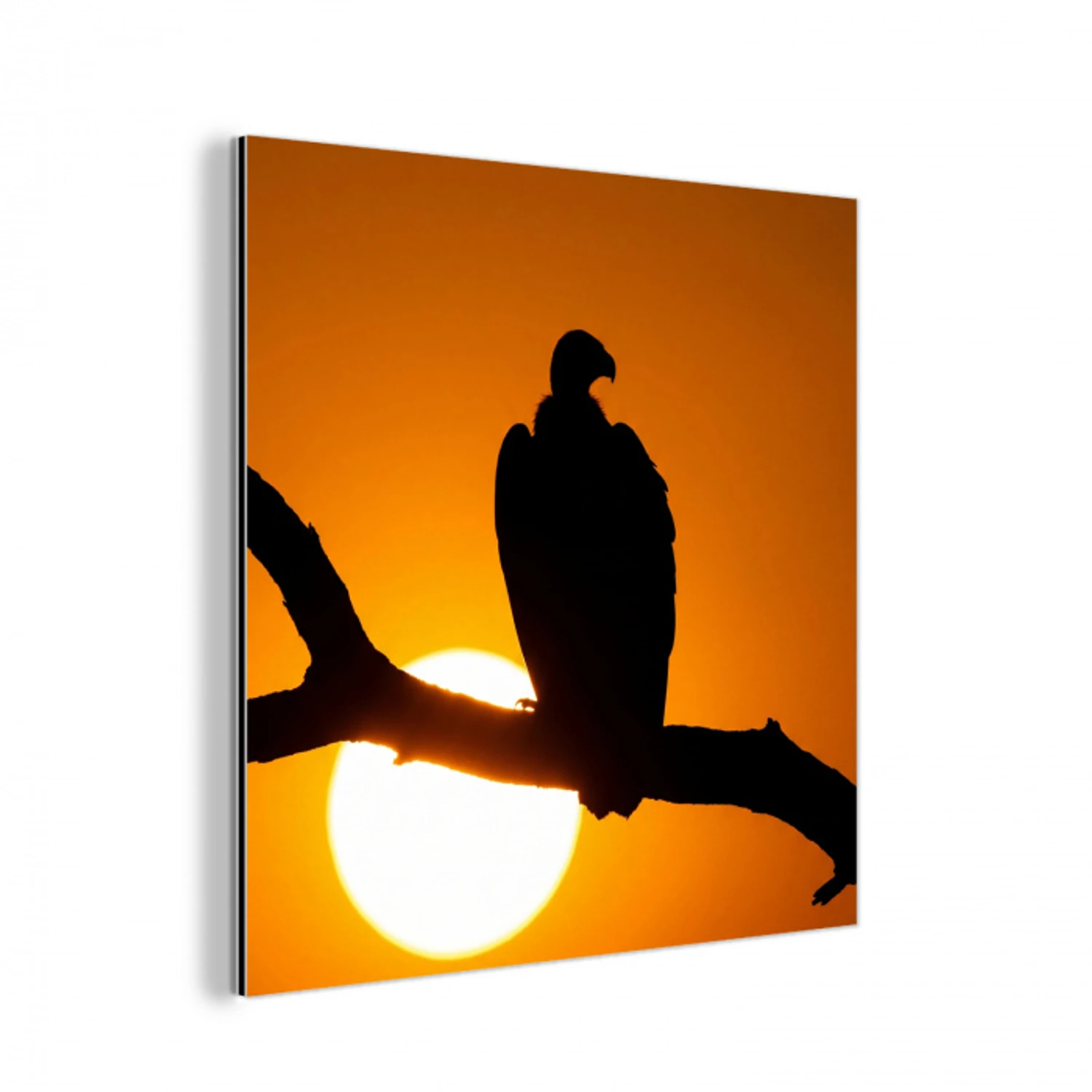 Gier - Tak - Zon - Oranje aluminium wit klein -3d