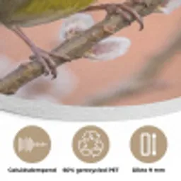 Groenling - Katjes - Lente - Natuur - Zacht Akoestische PET Vilt - Rond klein -closeup_NL