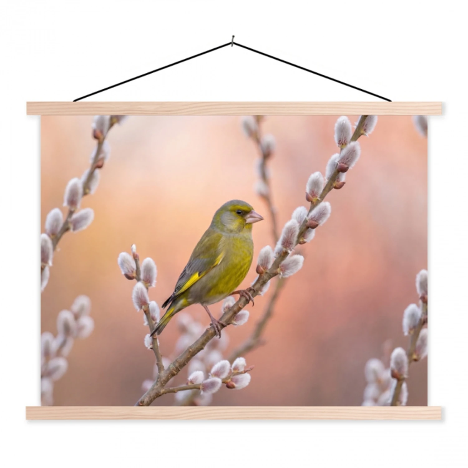 Groenling - Katjes - Lente - Natuur - Zacht textielposter latten blank klein -3d