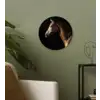 Paard - Dieren - Nacht - Zwart Wandcirkel kunststof plaat 5mm dik klein -sfeer3