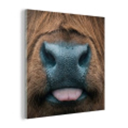 Schotse hooglander - Neus - Bruin plexiglas 5mm klein -z3d