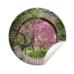 Doorkijk - Sakura - Bloesem - Japans Wandcirkel tuinposter met ringen klein -3d