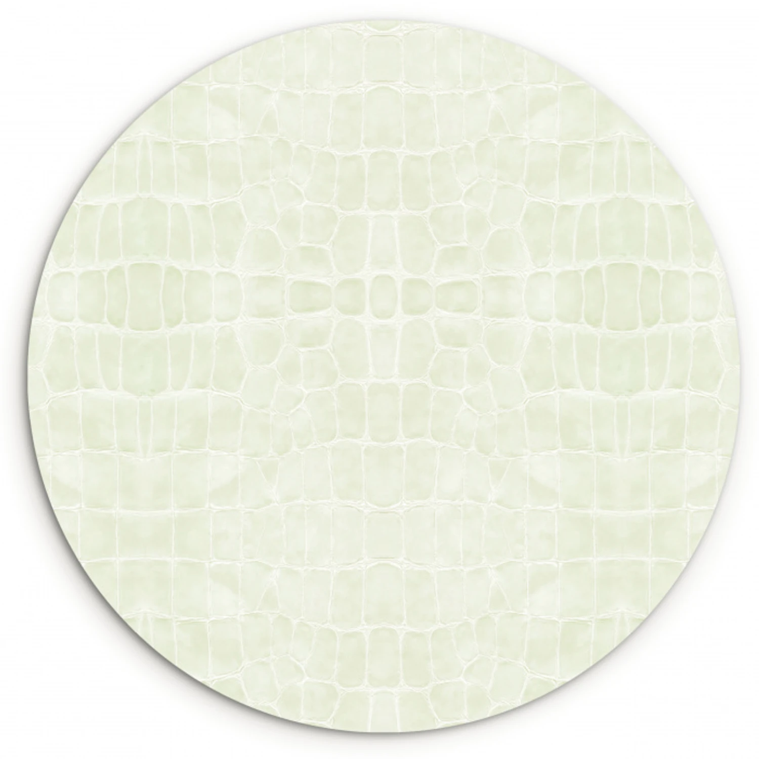 Krokodil - Leer - Ivoorwit Wandcirkel plexiglas klein 852 -3d