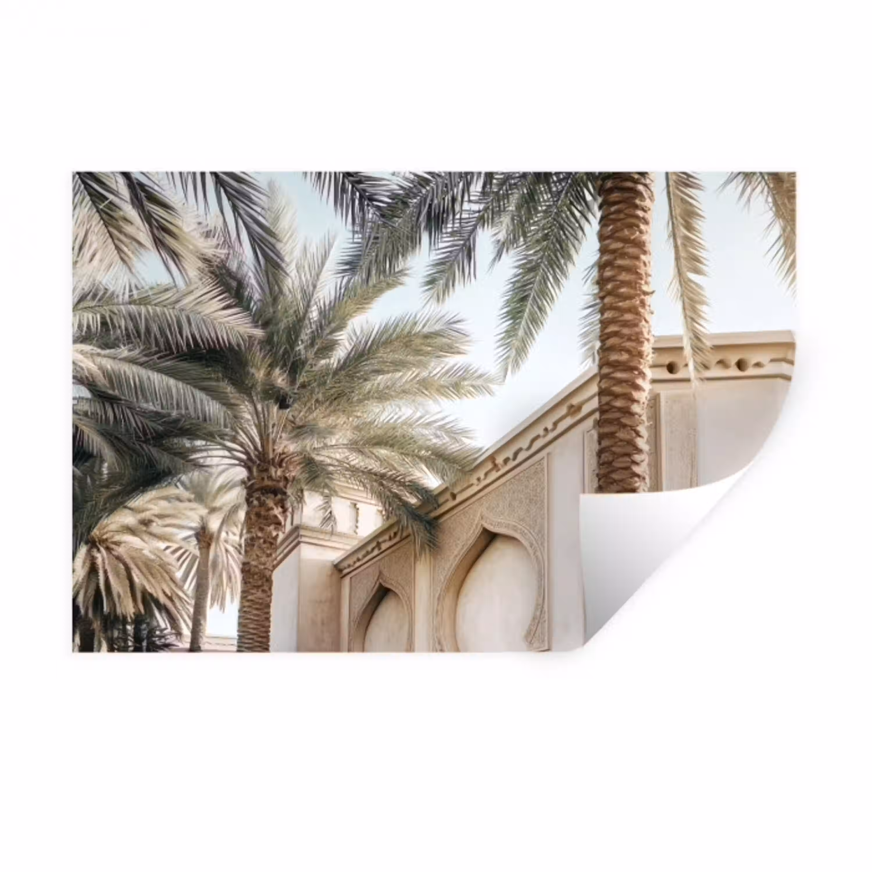 Gebouw - Palmbomen - Beige - Zon Muursticker klein -3d