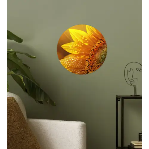 Zonnebloem - Dauwdruppels - Geel - Zonlicht Wandcirkel behangsticker klein -sfeer2