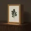 Eikenbladeren - Beige - Groen - Golvende randen Light Box met kabel (Tafellamp) klein -z3d_website