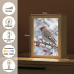 Pestvogel - Bessen - Winter - Natuur Light Box met kabel (Kinderlampje) klein -USP_DE