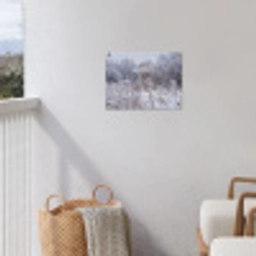 Schermbloem - Rijp - Kristallen - Winter - Delicaat tuinposter los doek klein -sfeer8