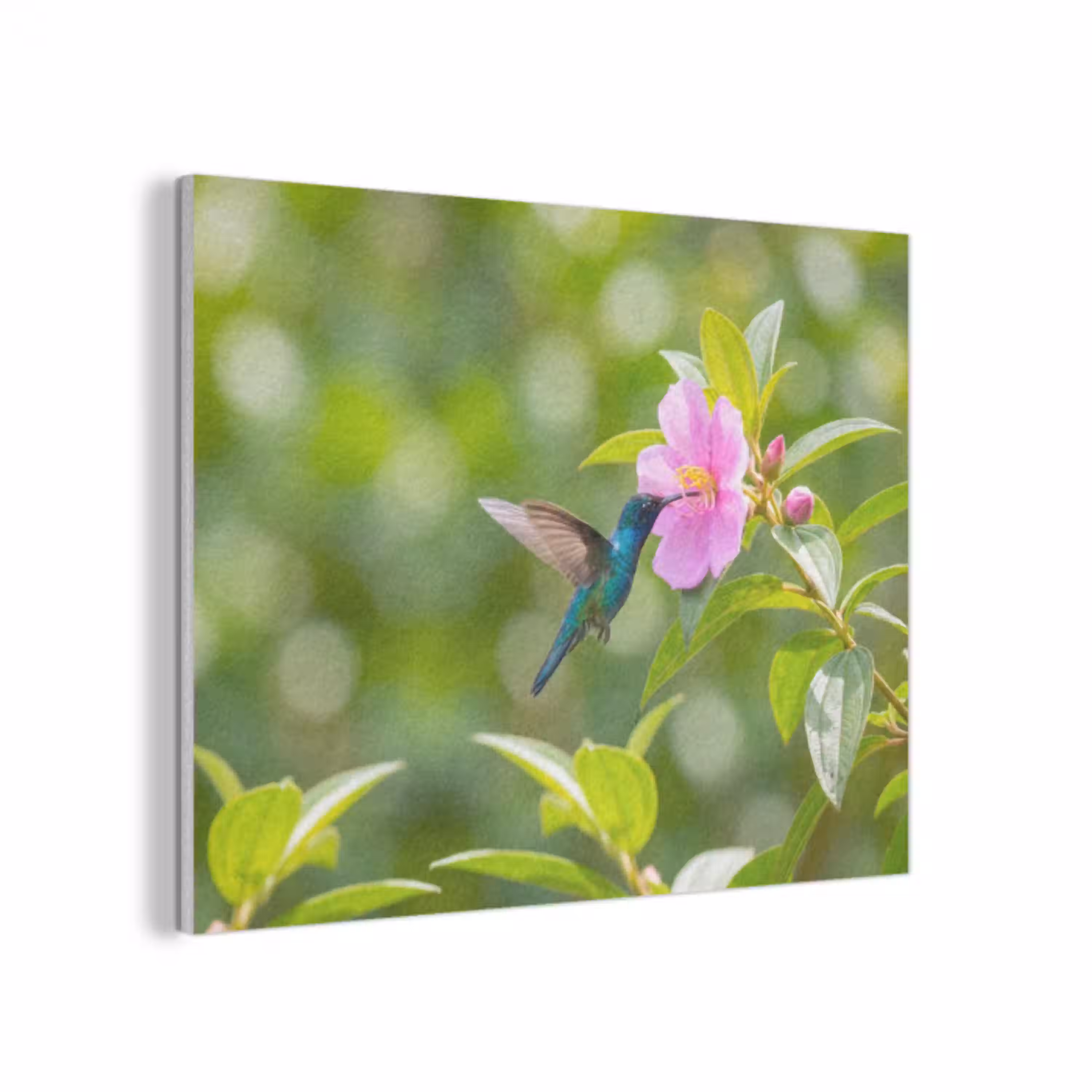 Kolibrie - Bloem - Natuur - Groen PET vilt klein -3d