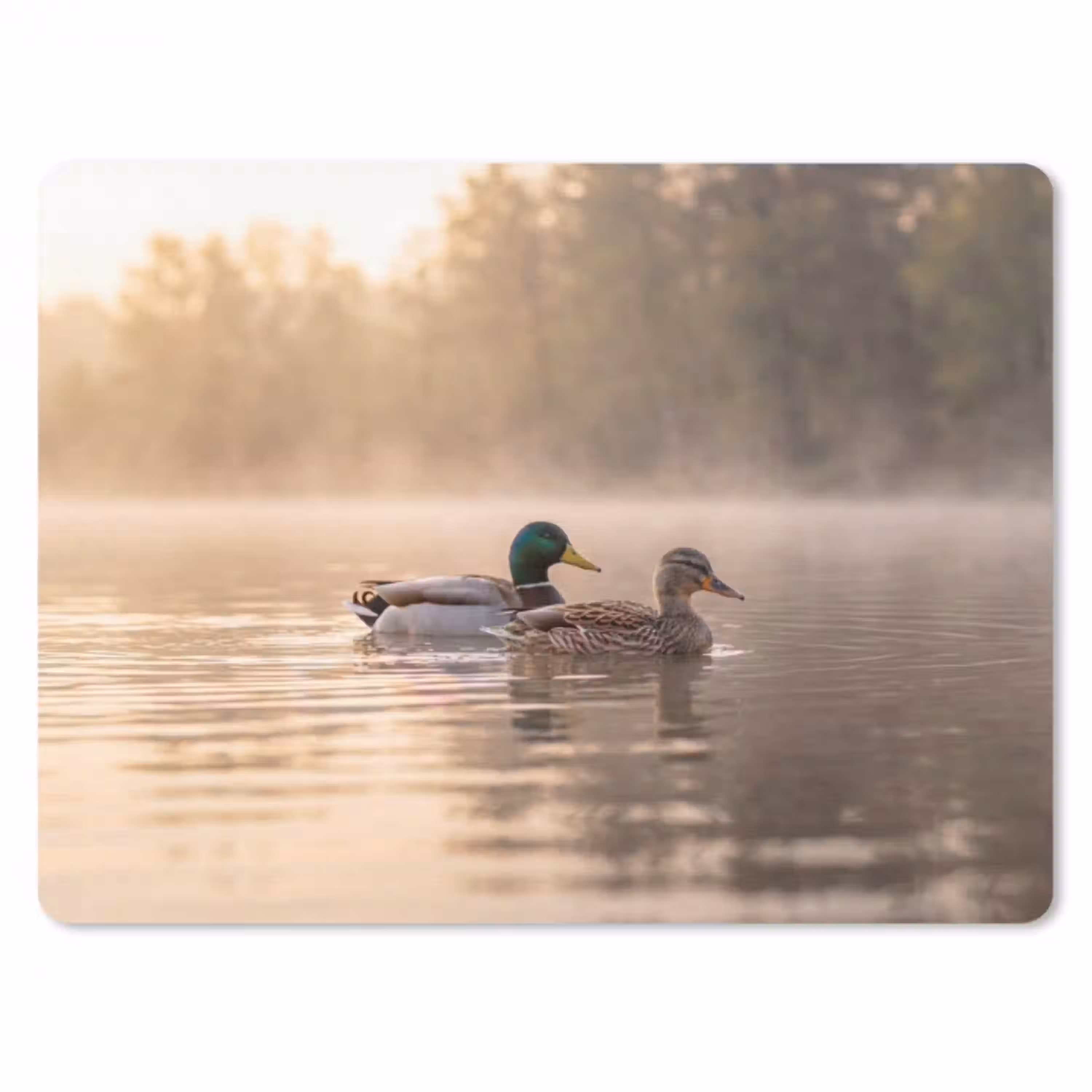Eenden - Water - Mist - Natuur muismat rubber klein -3d