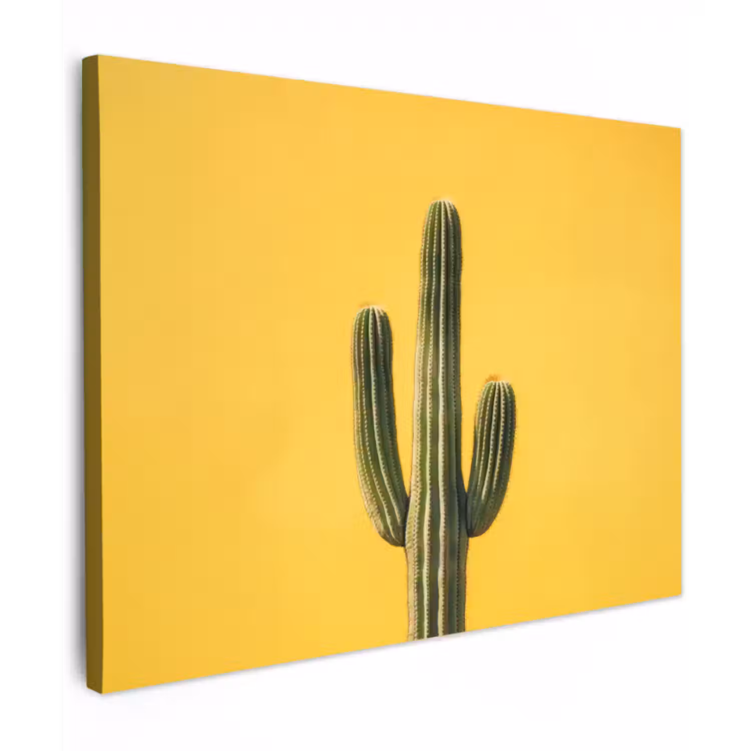 Canvas schilderij - Cactus - Groen - Minimalistisch