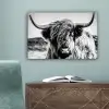 Schotse hooglander - Close up - Horens - Vacht - Zwart Wit canvas 2cm klein -sfeer4