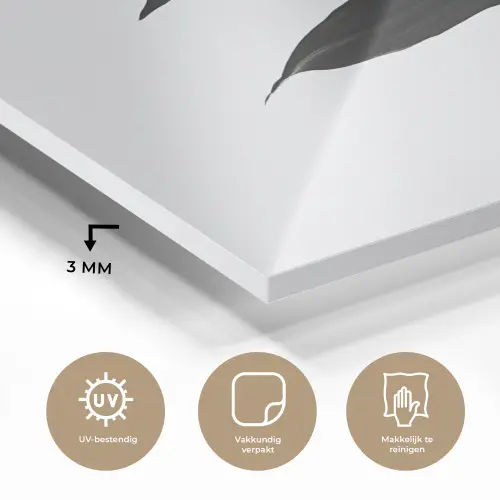 Plant - Bladeren - Minimalistisch - Zwart plexiglas 5mm klein -sfeer2