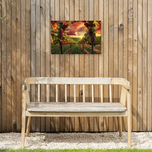 Wijngaard - Druiven - Zonsondergang Tuinposter op houten frame 2 cm dik klein -sfeer4