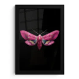Vlinder - Roze - Nachtvlinder fotolijst zwart zonder passe partout klein -3d