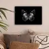 Vlinder - Grijs - Mysterieus canvas 2cm klein -sfeer1
