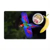 Felgekleurd - Papegaai - Bos - Vleugels Placemat vinyl groot -zzzproduct_Kitchenyeah-website