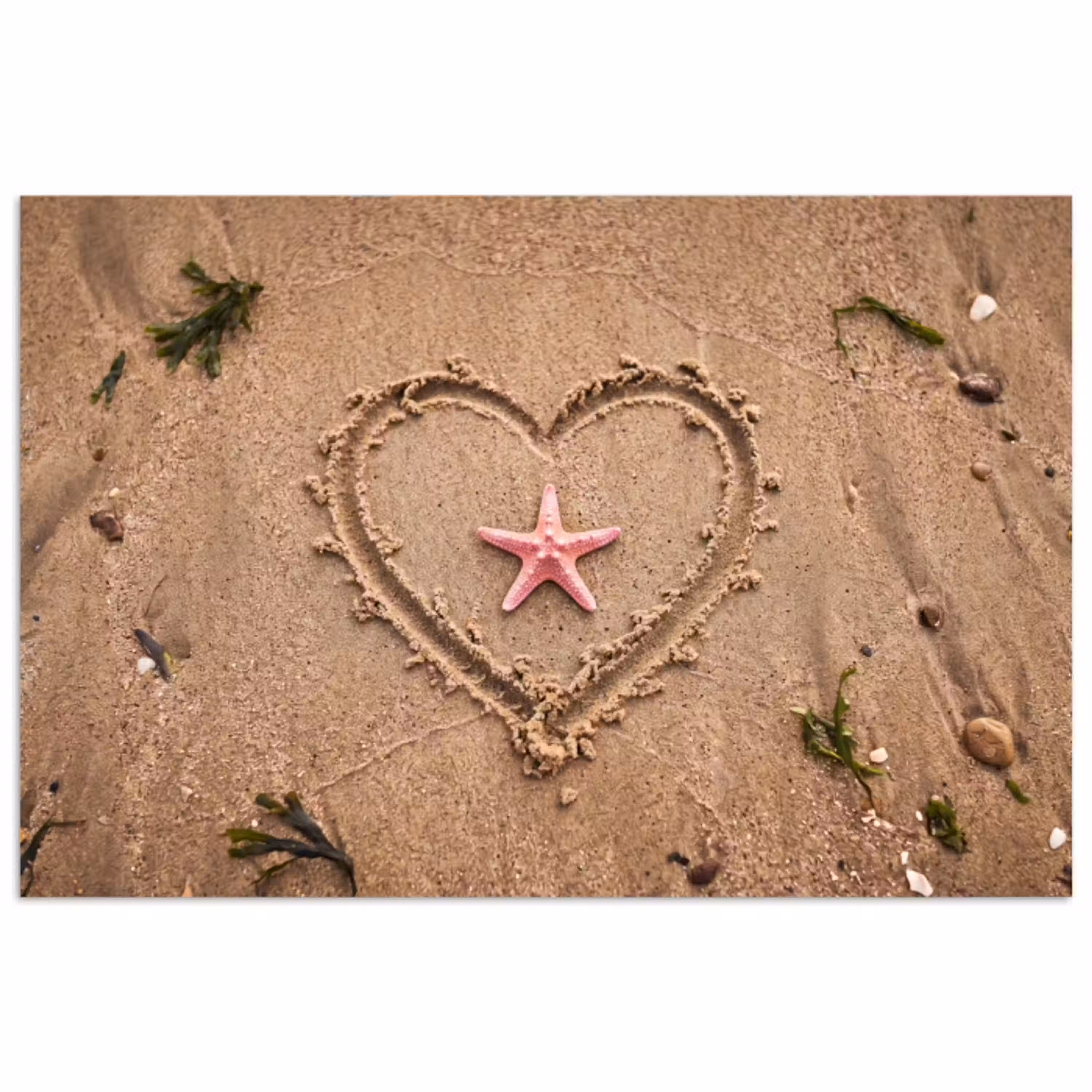 Dieren - Hart - Strand - Zand - Roze poster papier klein -3d
