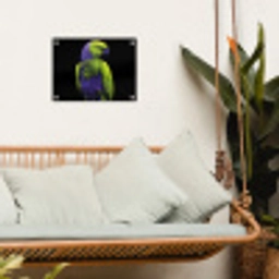 Papegaai - Veren - Opvallend - Groen tuinposter los doek klein -sfeer7