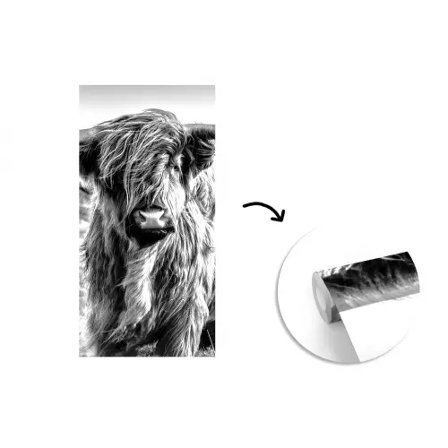 Schotse hooglander - Natuur - Koe - Zwart - Wit fotobehang vinyl groot -3d
