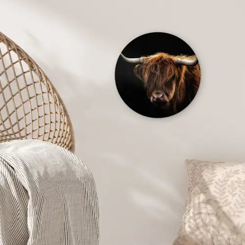Schotse Hooglander - Horens - Zwart - Dieren - Natuur - Wild - Koe Wandcirkel kunststof plaat 5mm dik klein -sfeer5