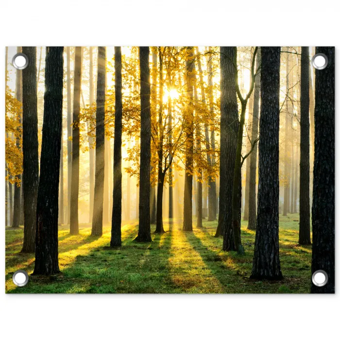 Bos - Zon - Bomen - Gras - Landschap  - Natuur tuinposter los doek klein -3d