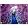 Pauw - Koksmuts - Cool - Paars tuinposter los doek klein -3d