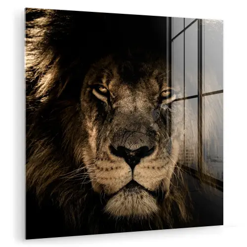 Leeuw - Dieren - Zwart - Portret plexiglas 5mm klein -zzzproduct_nieuw