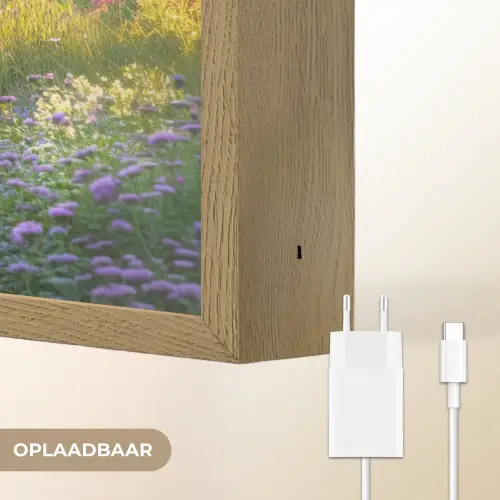 Tuinhuisje - Blauw - Bloemen Light Box met batterij (Wandlamp) middel -USP_websiteoplaadbaarNL