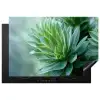 Blad - Plant - Groen - Textuur Inductie beschermer vinyl 3mm klein -3d