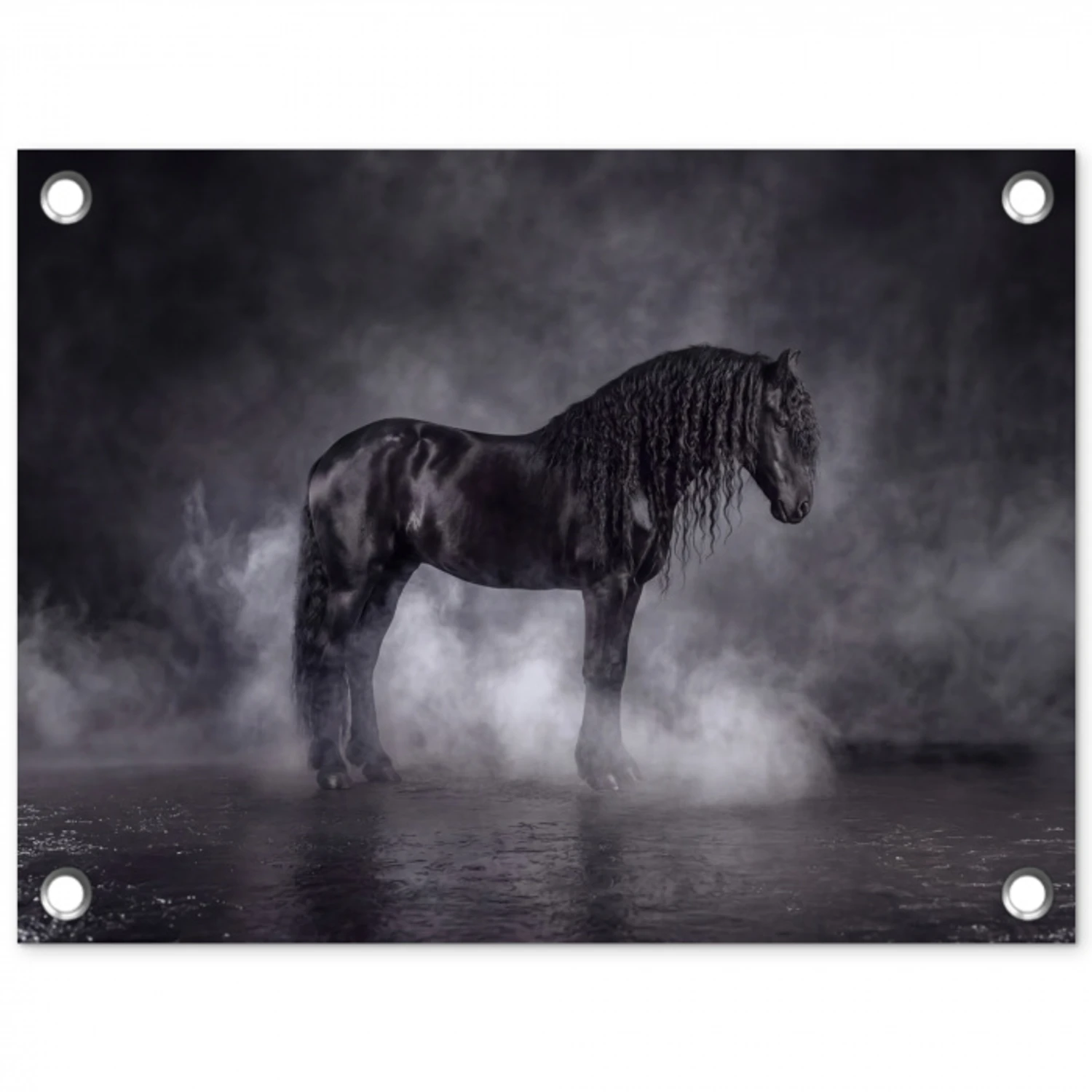 Paard - Magisch - Zwart tuinposter los doek klein -3d