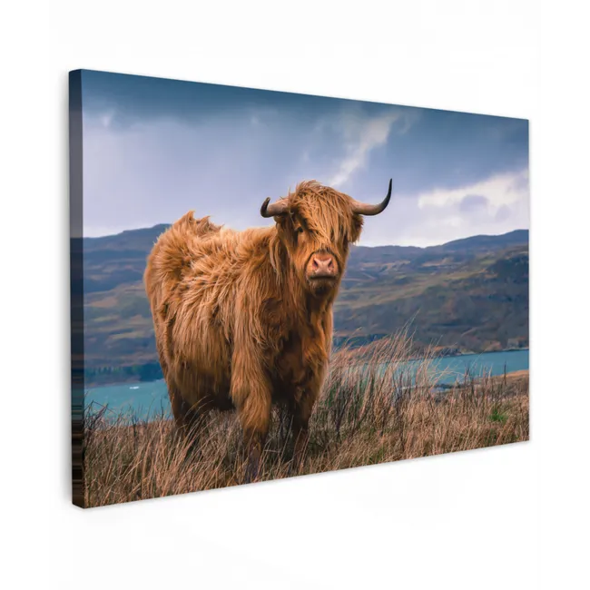 Buiten canvas - Schotse Hooglander - Berg - Water - Natuur - Koe