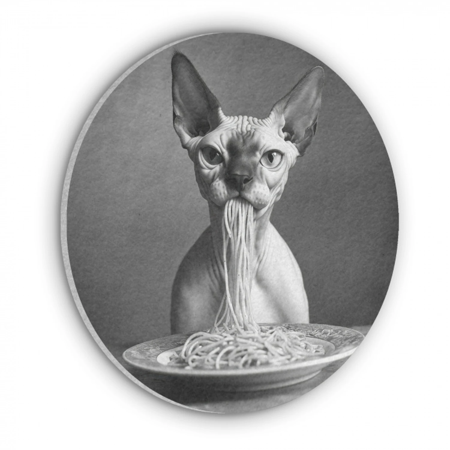 Sphynx - Kat - Dieren - Humor - Spaghetti - Zwart Wit Akoestische PET Vilt - Rond klein -3d