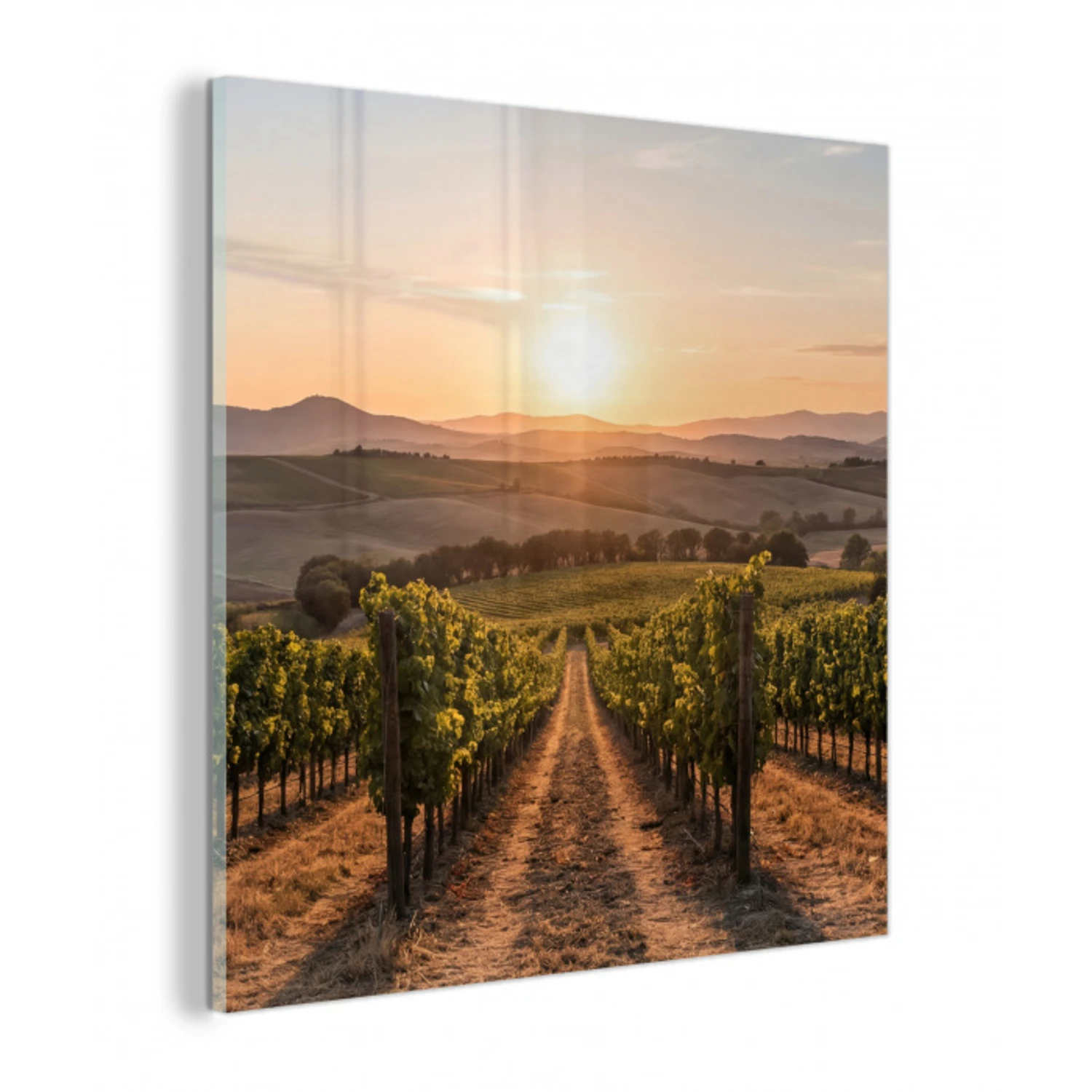 Wijngaard - Zonsondergang - Landschap plexiglas 5mm klein -z3d