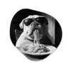 Hond - Bulldog - Pasta - Bril - Stoer - Dieren Wandcirkel Organisch Plexiglas middel -3d