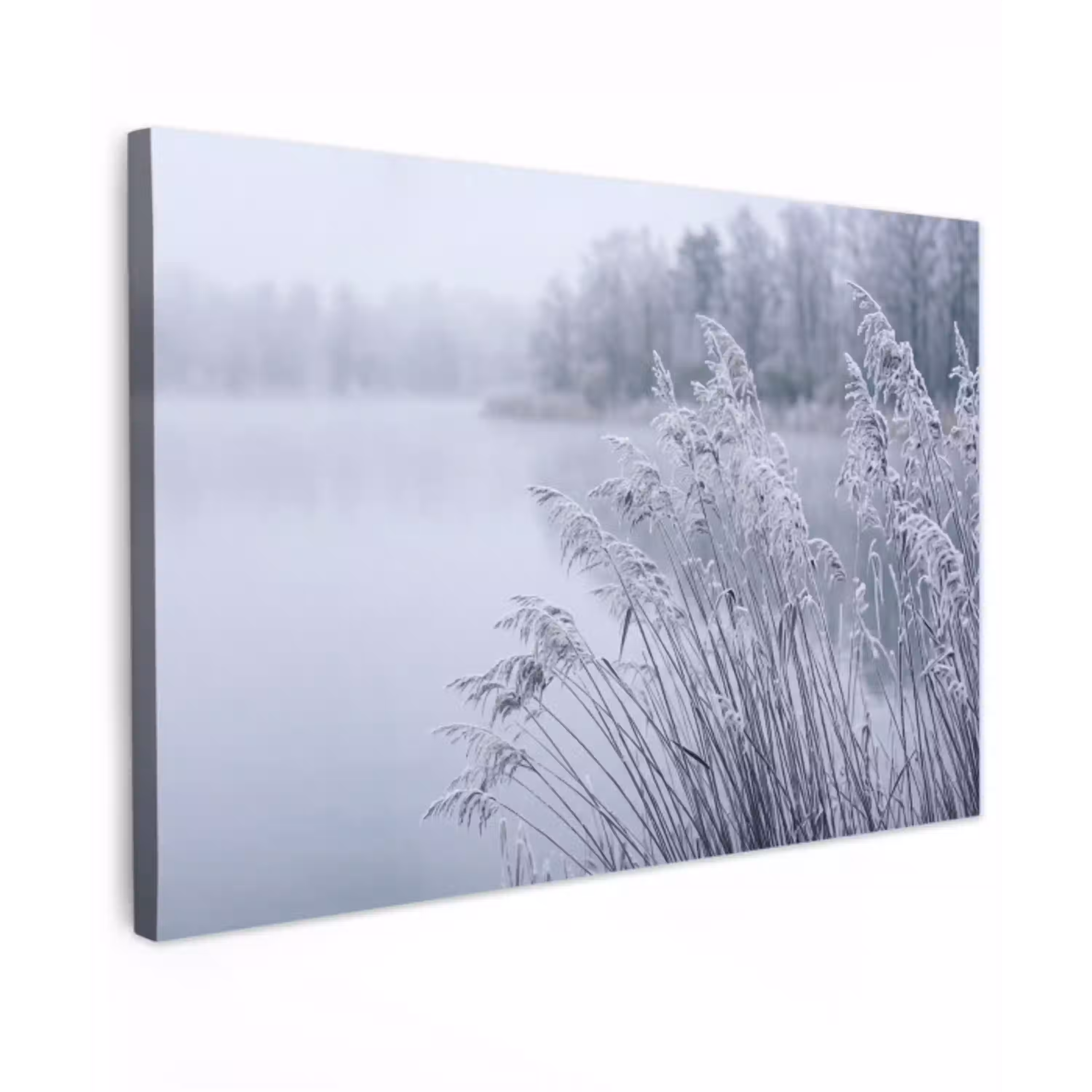 Riet - Bevroren - Winter - Natuur Tuinposter op houten frame 2 cm dik klein -3d