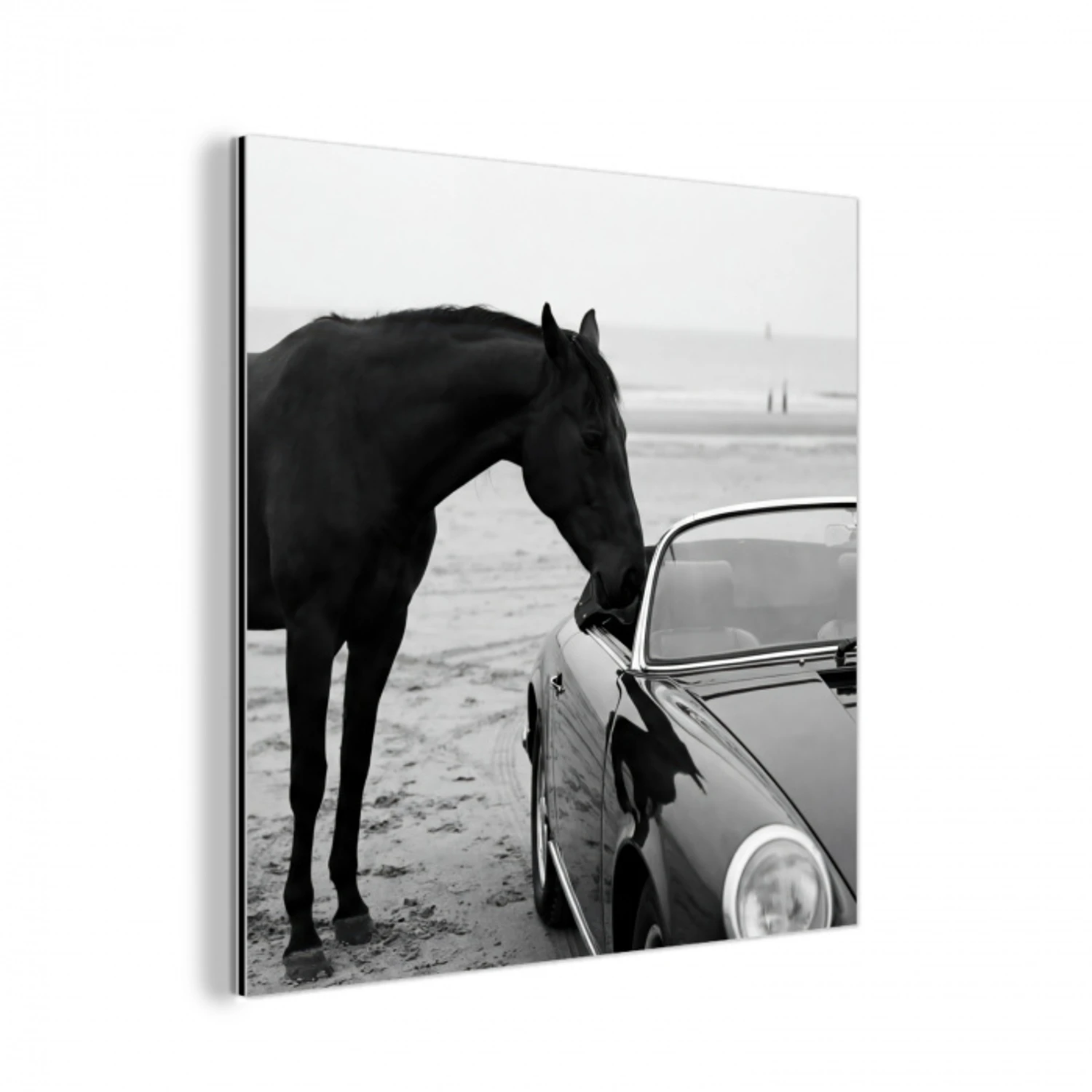 Paard - Auto - Zwart - Wit aluminium wit klein -3d