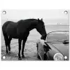 Paard - Auto - Zwart - Wit tuinposter los doek klein -3d