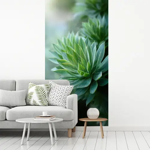 Blad - Plant - Groen - Textuur fotobehang vinyl groot -woonkamer